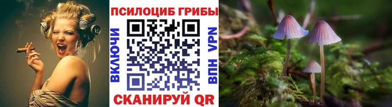 Галлюциногенные грибы мицелий  Яровое 